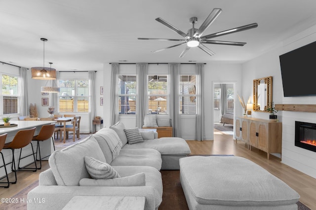 living room featuring ceiling fan and light wood-type flooring