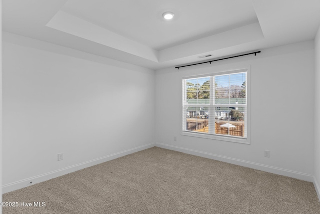 spare room with carpet floors and a raised ceiling