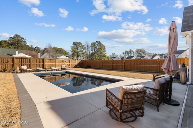 view of pool featuring a patio area