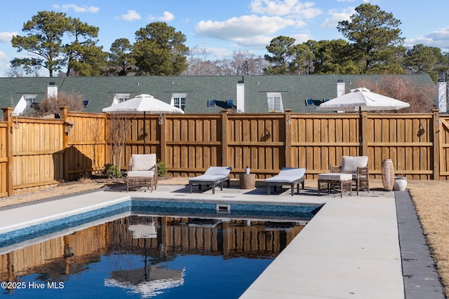 view of swimming pool with a patio area