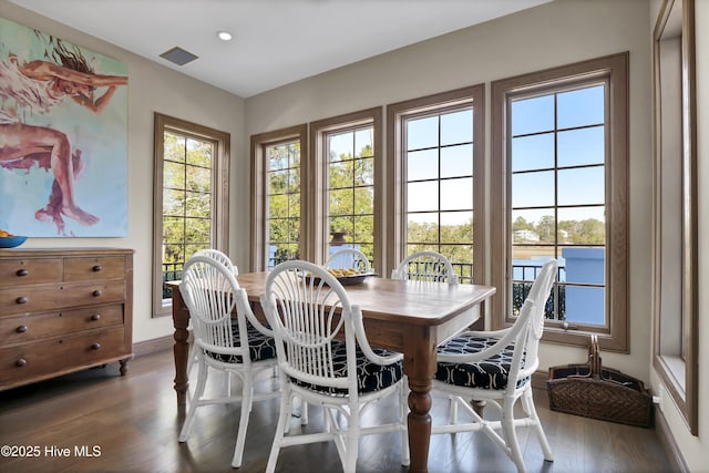 dining room featuring dark wood-type flooring