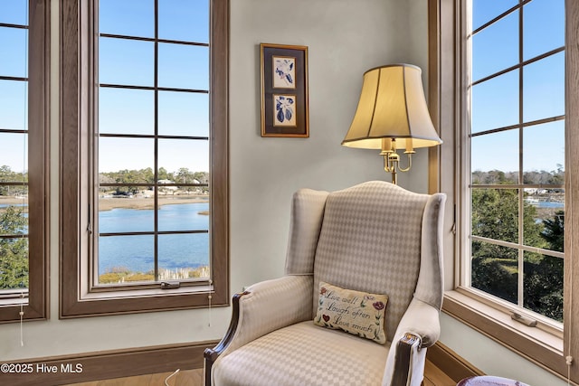 sitting room featuring a healthy amount of sunlight and a water view