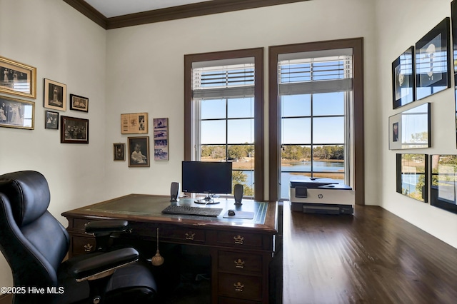 office featuring dark hardwood / wood-style flooring and ornamental molding