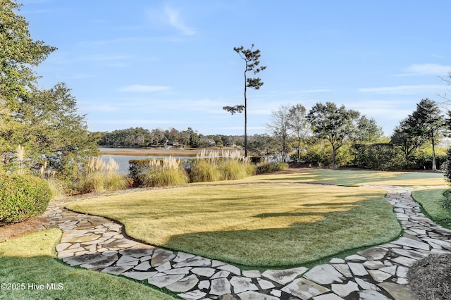 view of community featuring a lawn