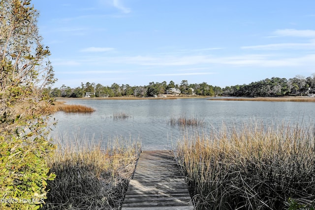 property view of water