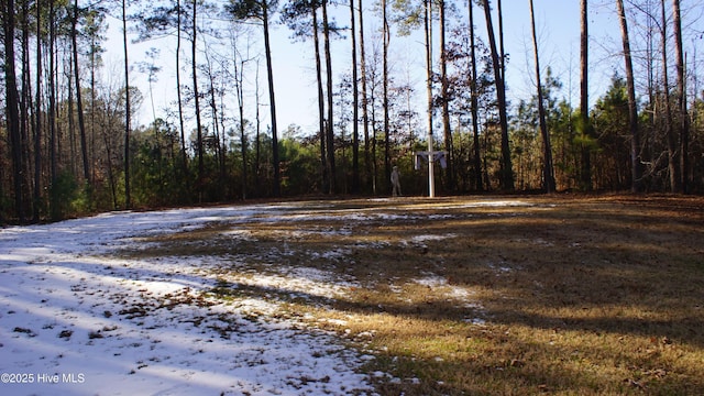 view of landscape