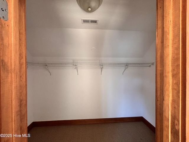 walk in closet featuring carpet and lofted ceiling