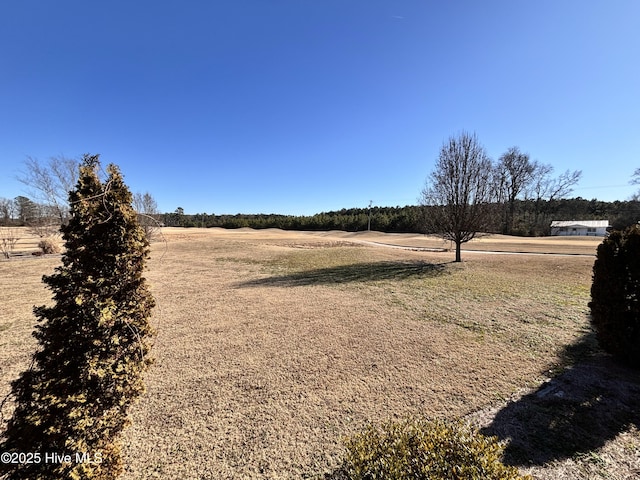 view of yard featuring a rural view