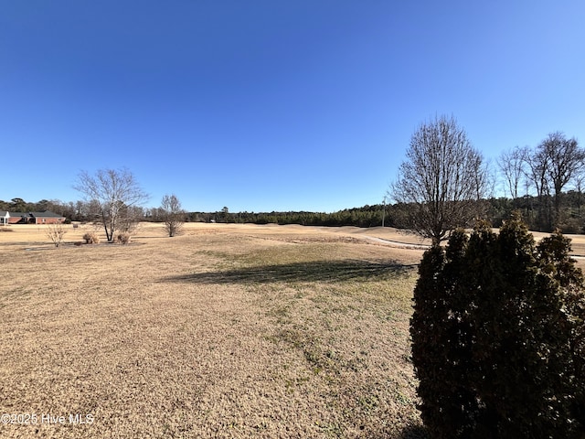 view of yard featuring a rural view