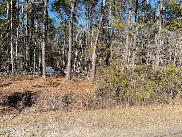 Listing photo 2 for 3ACRES Terry Trl SE Unit 2, Bolivia NC 28422