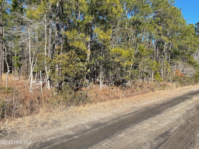 Listing photo 3 for 3ACRES Terry Trl SE Unit 2, Bolivia NC 28422