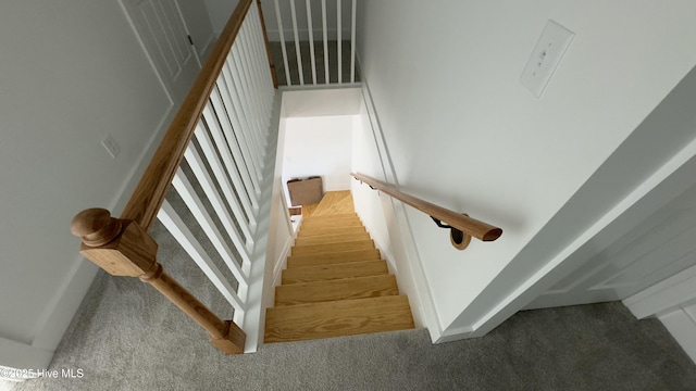 stairs featuring carpet floors