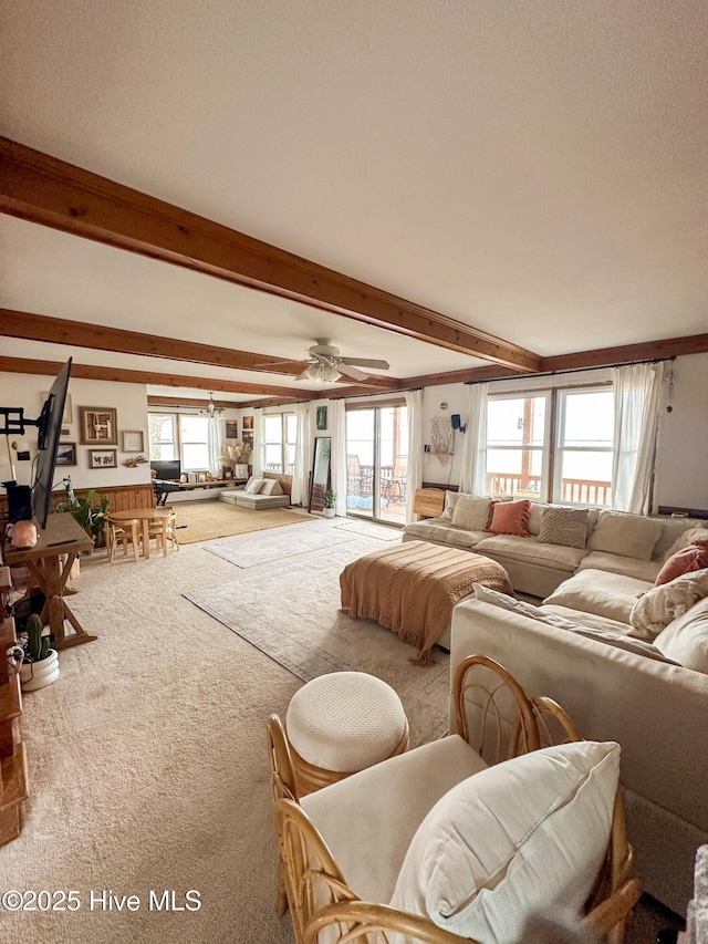 living room with carpet floors, a wealth of natural light, and beam ceiling