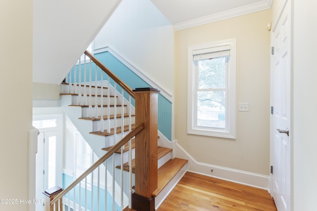 stairway with hardwood / wood-style flooring and ornamental molding