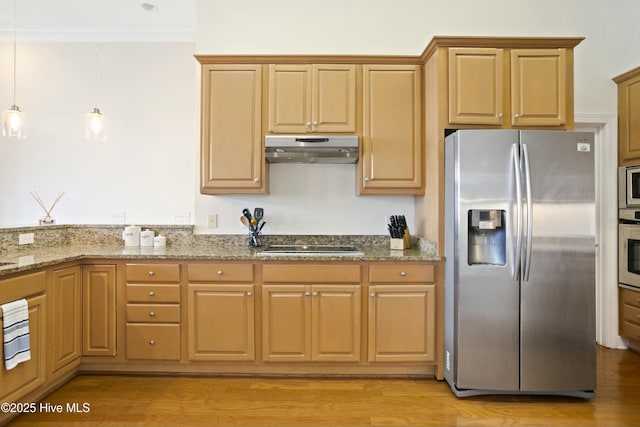 kitchen featuring hanging light fixtures, appliances with stainless steel finishes, light stone counters, and light hardwood / wood-style floors