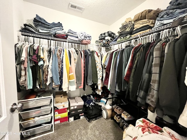 spacious closet with carpet flooring