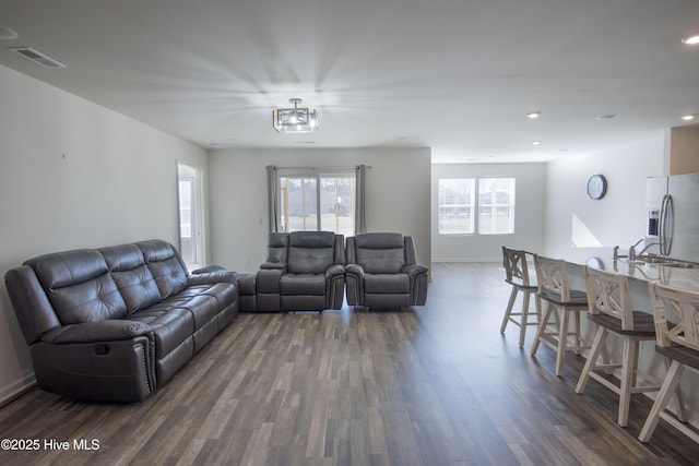 living room with sink, dark hardwood / wood-style floors, and a healthy amount of sunlight