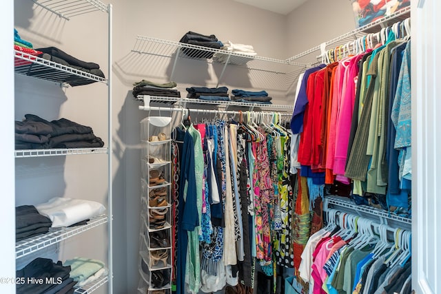 view of spacious closet