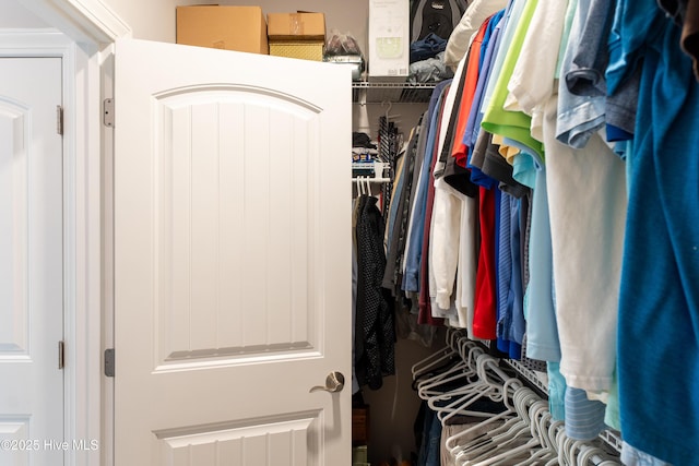 view of walk in closet