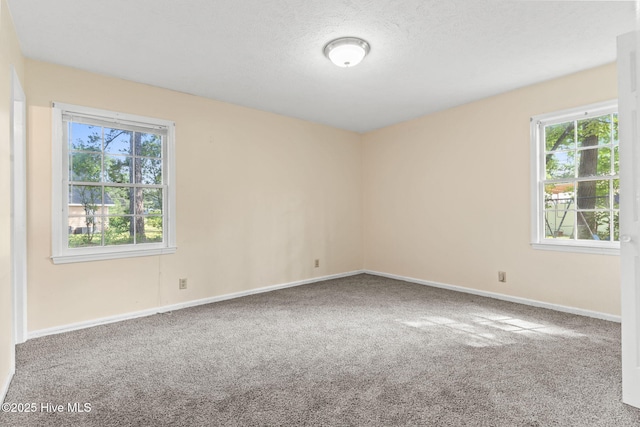 carpeted spare room featuring a healthy amount of sunlight and a textured ceiling