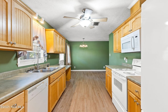 kitchen featuring sink, white appliances, hanging light fixtures, light hardwood / wood-style floors, and a textured ceiling