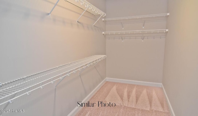 walk in closet featuring carpet floors