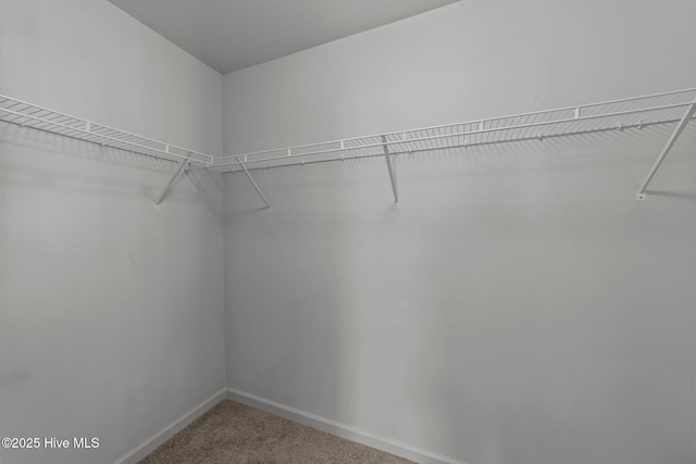 walk in closet with carpet