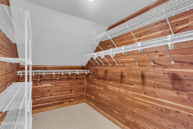 walk in closet with carpet