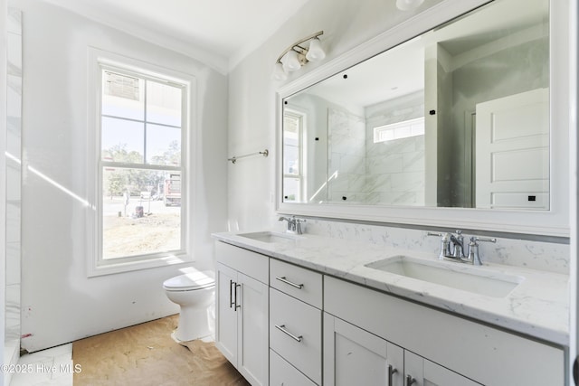 bathroom with vanity, plenty of natural light, and toilet