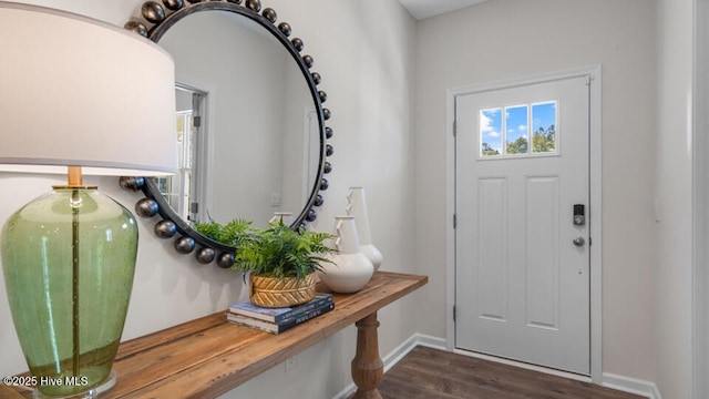 entryway featuring dark wood-type flooring