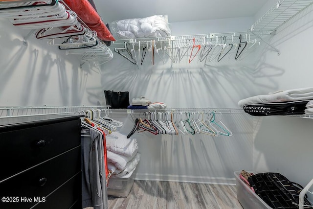 walk in closet featuring hardwood / wood-style floors