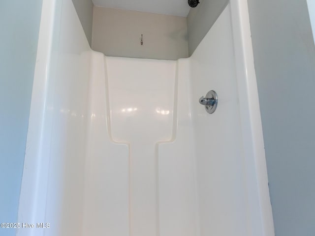 details featuring a shower