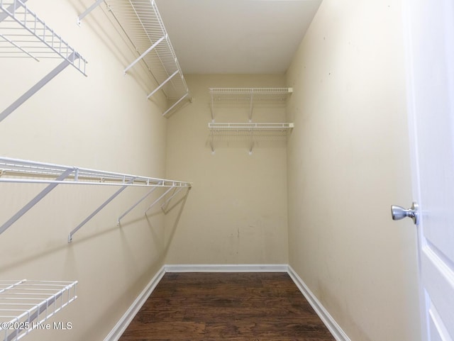 walk in closet with wood finished floors