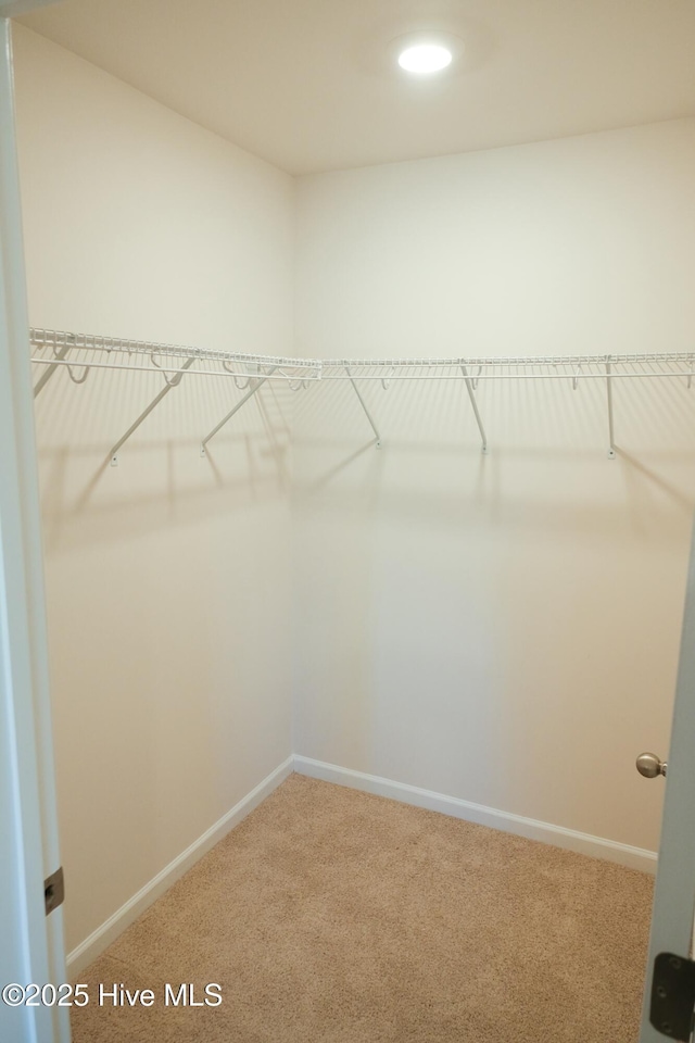 spacious closet with carpet