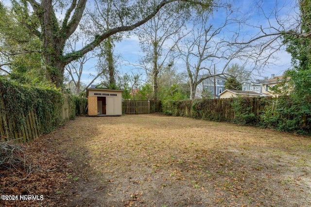 view of yard with a storage shed