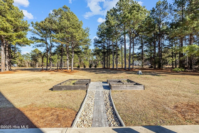view of grassy yard featuring a vegetable garden