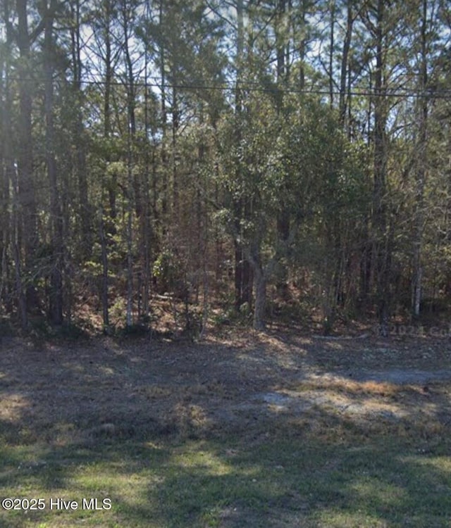 24480 US Highway 17 Unit B, Hampstead NC, 28443 land for sale