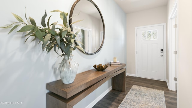 foyer entrance with dark hardwood / wood-style flooring