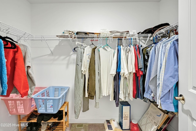 view of spacious closet