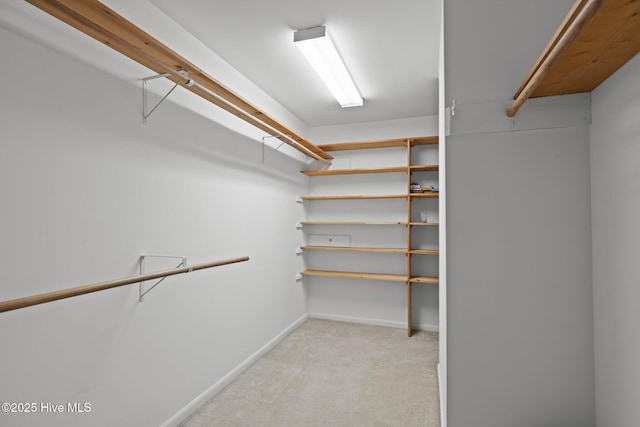 walk in closet with light carpet