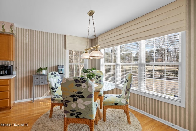 dining space with light hardwood / wood-style flooring