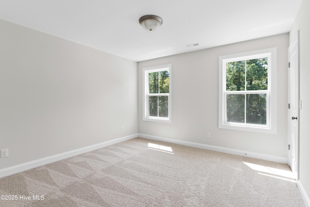 unfurnished room featuring light colored carpet and a wealth of natural light