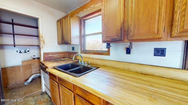 kitchen with sink, stainless steel dishwasher, and butcher block countertops