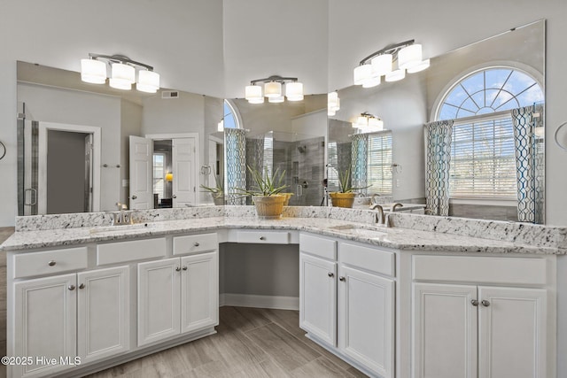 bathroom featuring vanity and a shower with door