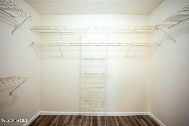 spacious closet featuring wood-type flooring