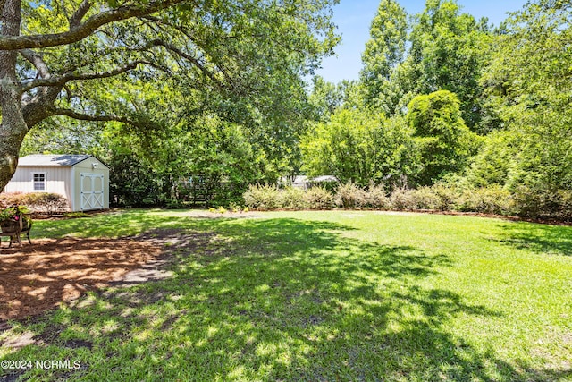 view of yard with a storage shed