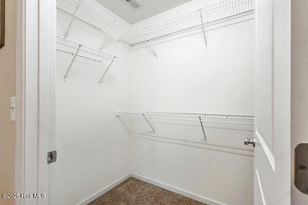 walk in closet featuring carpet flooring