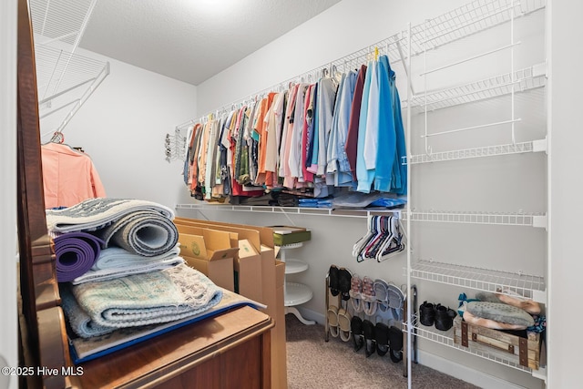 walk in closet with carpet