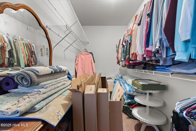 view of spacious closet