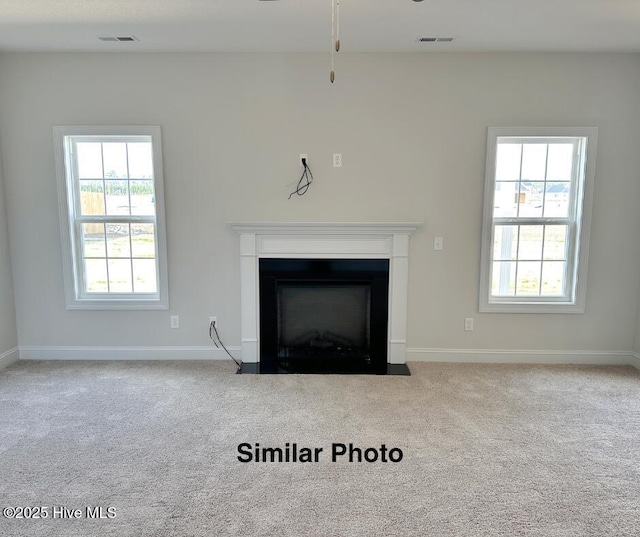 room details with carpet floors